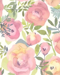 Peachy Keen Pink Peel & Stick Wallpaper by   