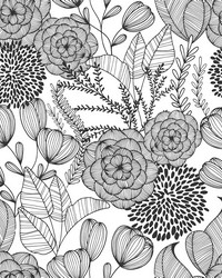 Black Secret Garden Peel & Stick Wallpaper by  Brewster Wallcovering 