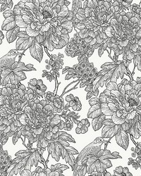 Black & White Sudbury Peel & Stick Wallpaper by  Brewster Wallcovering 
