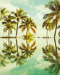 Key West Wall Mural by  Brewster Wallcovering 