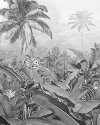 Amazonia Black and White Wall Mural by  Brewster Wallcovering 