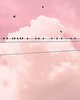 Wall Pops Cloud Wire Wall Mural Pinks