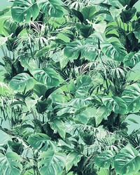 Tropical Leaves Wall Mural by  Brewster Wallcovering 