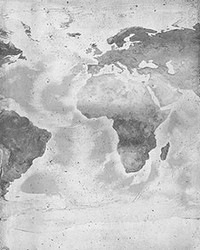 Concrete World Map Wall Mural by  Brewster Wallcovering 