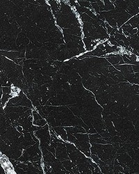 Marble Black Wall Mural by   