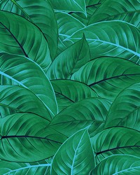 Jungle Leaves Wall Mural by  Brewster Wallcovering 