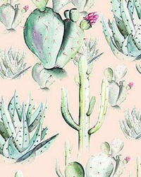 Cactus Rose Wall Mural by   
