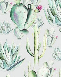 Cactus Grey Wall Mural by   