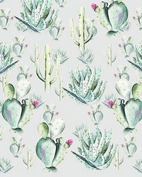 Cactus Grey Wall Mural by  Brewster Wallcovering 