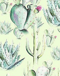 Cactus Green Wall Mural by   