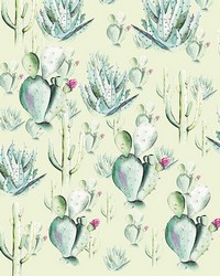 Cactus Green Wall Mural by   