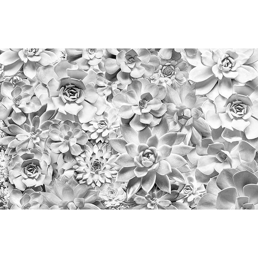 White Floral Wall Mural Wallpaper