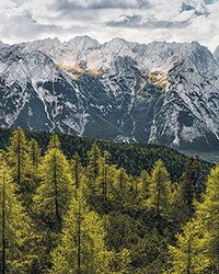 Wild Dolomites Wall Mural by   