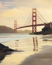 Golden Gate Wall Mural by  Brewster Wallcovering 
