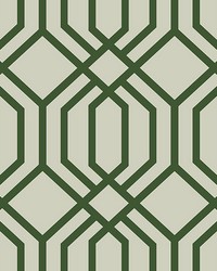 Emerald Speakeasy Self Adhesive Wallpaper by  Brewster Wallcovering 