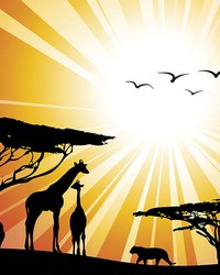Sunset Safari Wall Mural by  Brewster Wallcovering 