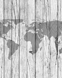 World Map Timber Wall Mural by  Brewster Wallcovering 