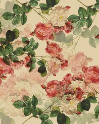 Vintage Botanic Wall Mural by   