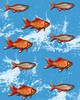 Wall Pops Gold Fish Wall Mural Multicolor