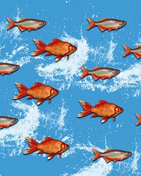Gold Fish Wall Mural by  Brewster Wallcovering 