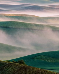 Misty Hills Wall Mural by  Brewster Wallcovering 
