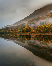 Mystical Lake In Scotland Wall Mural by  Brewster Wallcovering 