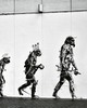 Wall Pops Street Art Evolution Wall Mural Greys