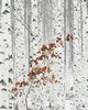 Wall Pops White Birch Forest Wall Mural Whites & Off-Whites