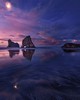 Wall Pops Bay At Sunset Wall Mural Purples