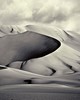 Wall Pops Vintage Sand Dunes Wall Mural Greys