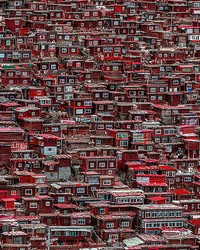 Red Houses China Wall Mural by   