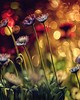 Wall Pops Flowers And Lights Wall Mural Multicolor