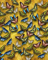 Multicolored Butterfly Mural Wall Mural by  Brewster Wallcovering 