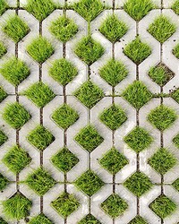 Cobblestone And Grass Wall Mural by  Brewster Wallcovering 