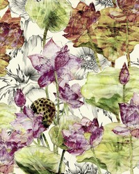 Lotus Wall Mural by  Brewster Wallcovering 