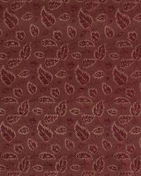 Emperatriz Ember by  Robert Allen 