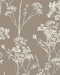 Adelray Opal by  Robert Allen 