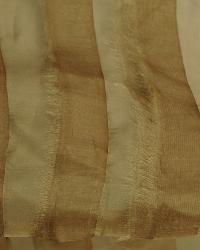 Freshness Driftwood by  Robert Allen 