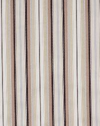 Grove Valley Birch by  Robert Allen 