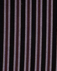 Tavarez Mica by  Robert Allen 