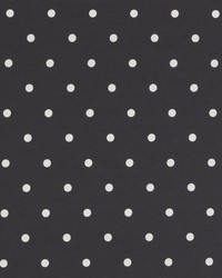 Dotty F0063 F0063/02 CAC Charcoal by  Clarke and Clarke 