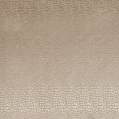 Clarke and Clarke Pulse F0469 F0469/13 CAC Sand in Clarke and Clarke Contract Beige Upholstery Polyester Fire Rated Fabric Animal Print  CA 117   Fabric