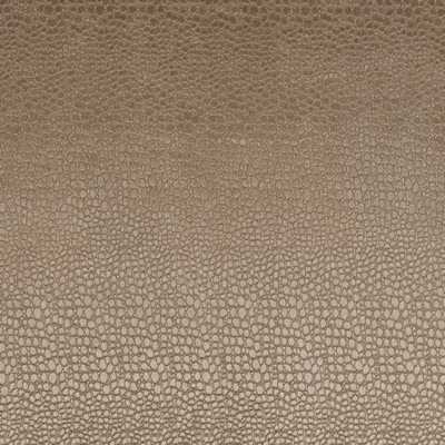 Clarke and Clarke Pulse F0469 F0469/15 CAC Taupe in 9467 Brown Polyester Animal Print   Fabric