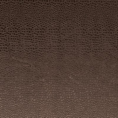 Clarke and Clarke Pulse F0469 F0469/07 CAC Espresso in 9467 Brown Polyester Animal Print   Fabric