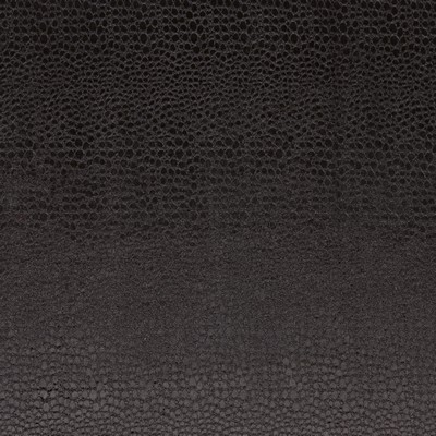 Clarke and Clarke Pulse F0469 F0469/09 CAC Jet in Clarke and Clarke Contract Black Upholstery Polyester Fire Rated Fabric Animal Print  CA 117   Fabric