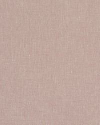 Abbey Heather by  Clarke and Clarke 