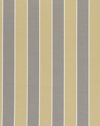 Chatburn Citrus by  Clarke and Clarke 