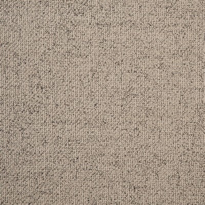 Clarke and Clarke Casanova F0723 F0723/17 CAC Sand in 9017 Beige Polyester  Blend Solid Color Chenille   Fabric