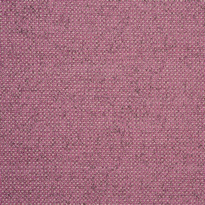 Clarke and Clarke Casanova F0723 F0723/21 CAC Sorbet in 9017 Polyester  Blend Solid Color Chenille   Fabric