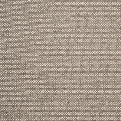 Clarke and Clarke Casanova F0723 F0723/24 CAC Taupe in Clarke and Clarke Contract Brown Polyester  Blend Solid Color Chenille   Fabric